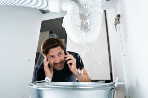 Best Sprinkler Systems  in Fowlkes, TN
