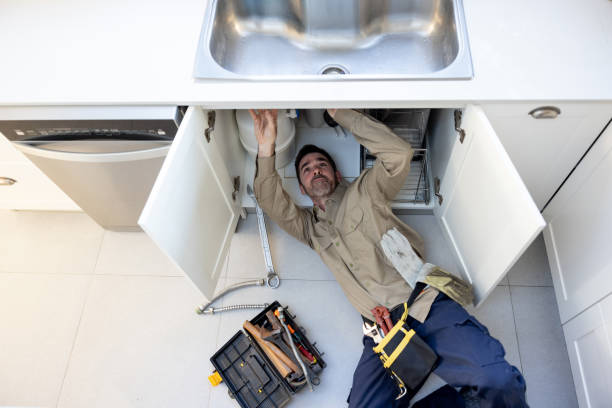 Best Local Plumber Services  in Fowlkes, TN